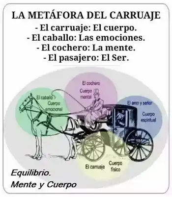 Analogía del carruaje