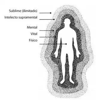 Dimensiones del ser humano