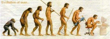 Proceso evolutivo
